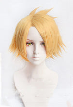 Load image into Gallery viewer, Denki Kaminari Cosplay Wig

